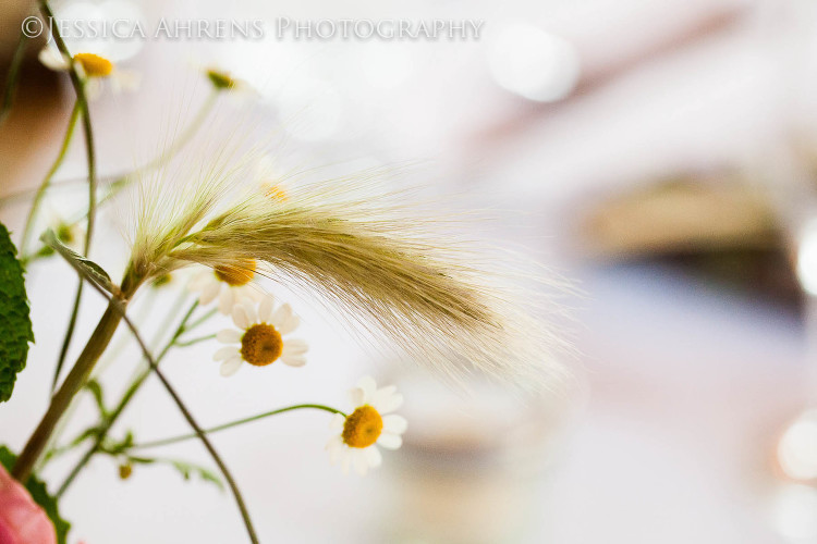 becker farms outdoor wedding photographer buffalo ny_119