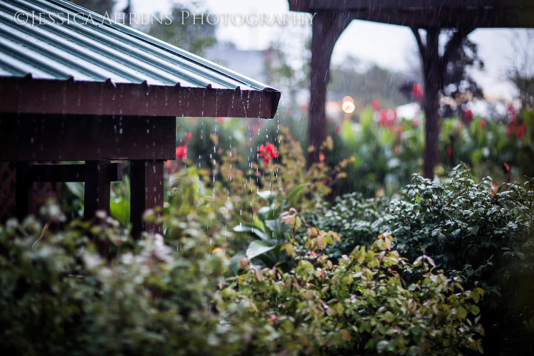 becker farms outdoor wedding photographer buffalo ny_304