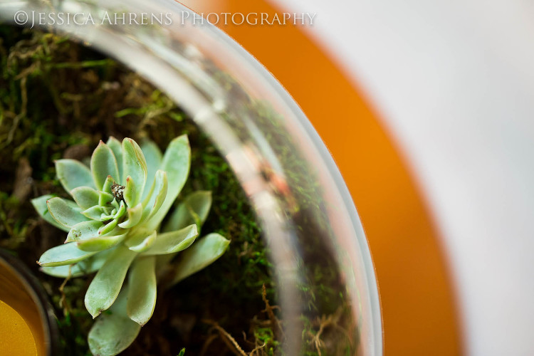 becker farms outdoor wedding photographer buffalo ny_466