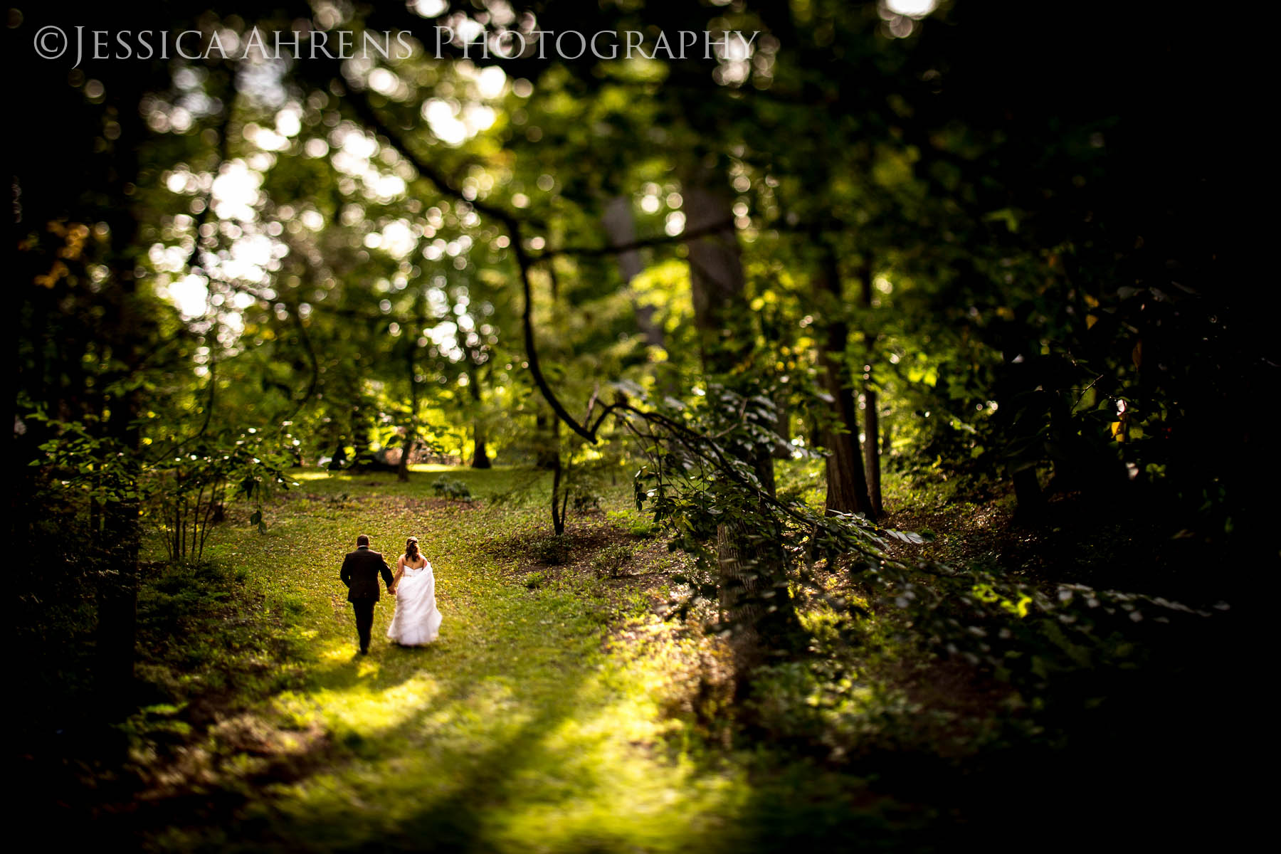 delaware park engagement and wedding photographer buffalo ny_362