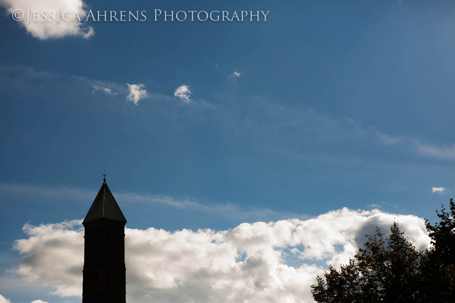 first presbyterian church elmwood village engagement and wedding photography buffalo ny_002