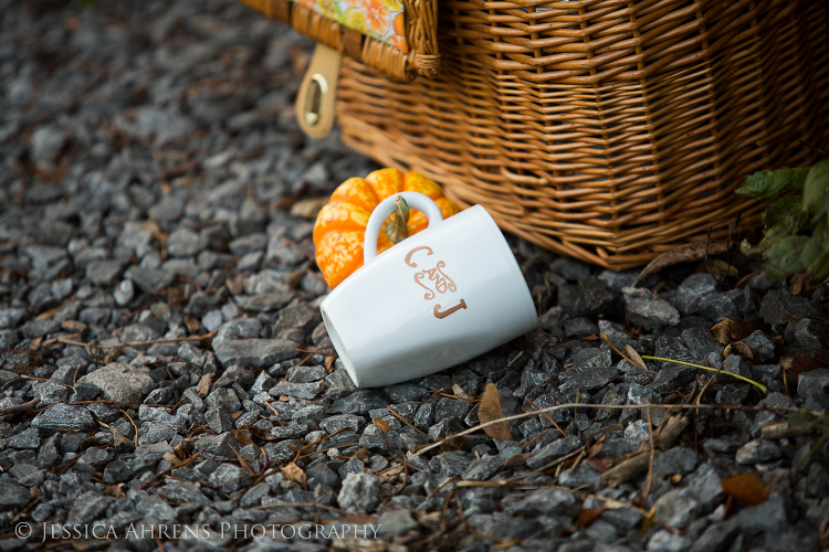 Japanes gardens at the buffalo historical society wedding photography buffalo ny engagement   _109