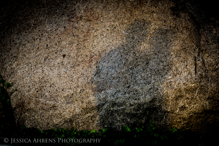 Japanes gardens at the buffalo historical society wedding photography buffalo ny engagement   _160