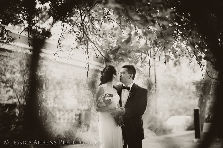 Japanes gardens at the buffalo historical society wedding photography buffalo ny engagement   _176