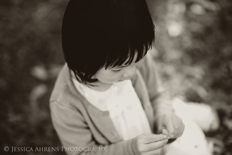 Japanes gardens at the buffalo historical society wedding photography buffalo ny engagement   _221