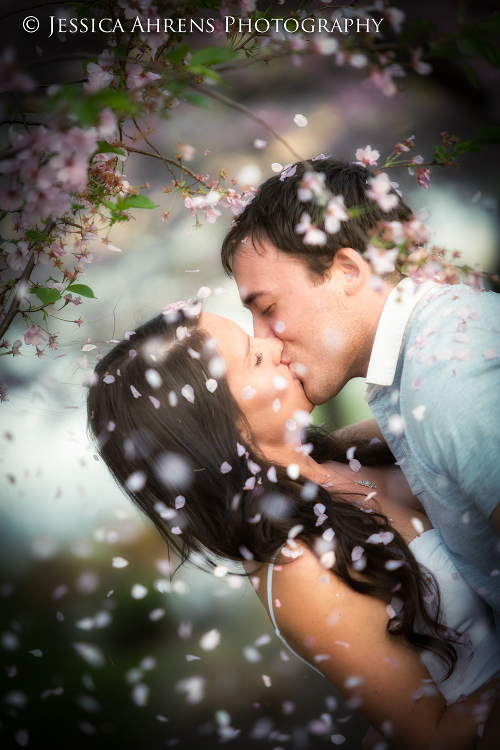 Japanes gardens at the buffalo historical society wedding photography buffalo ny engagement   _3