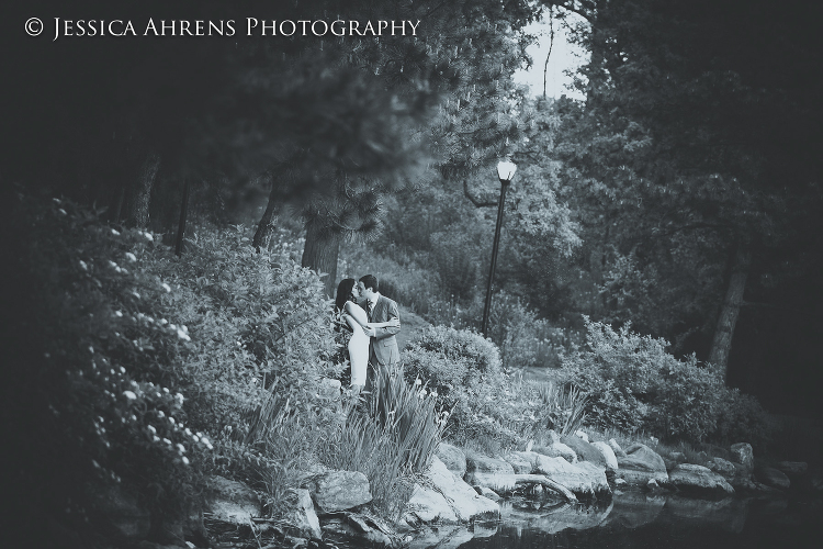 Japanes gardens at the buffalo historical society wedding photography buffalo ny engagement   _59