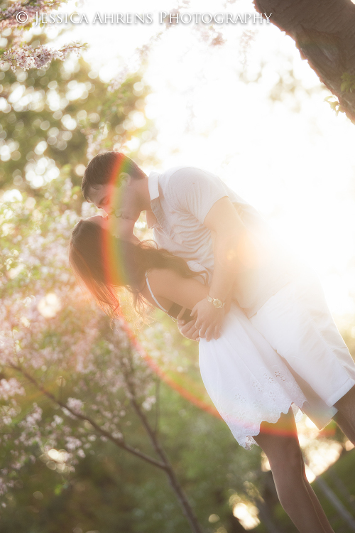 Japanes gardens at the buffalo historical society wedding photography buffalo ny engagement   _6