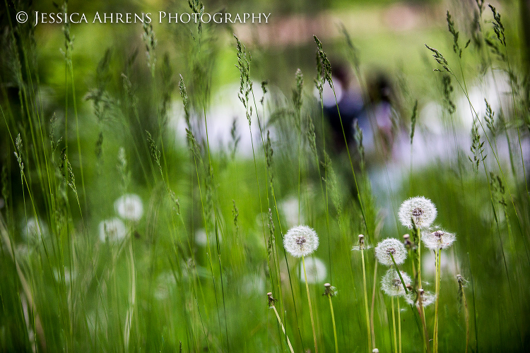 Japanes gardens at the buffalo historical society wedding photography buffalo ny engagement   _60