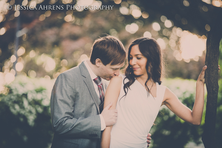 Japanes gardens at the buffalo historical society wedding photography buffalo ny engagement   _67