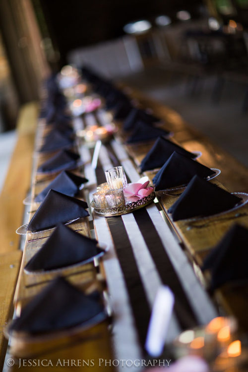 watkins glen wedding photography _48