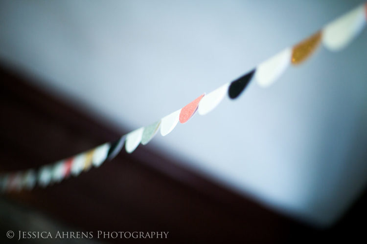 watkins glen wedding photography _49