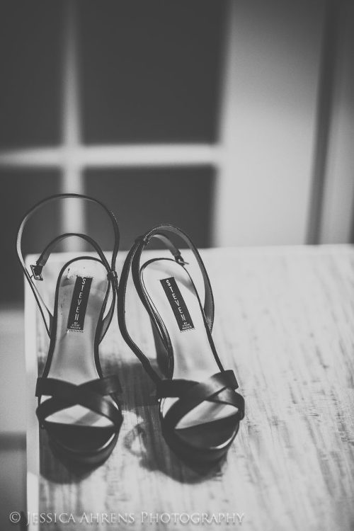 watkins glen wedding photography _7