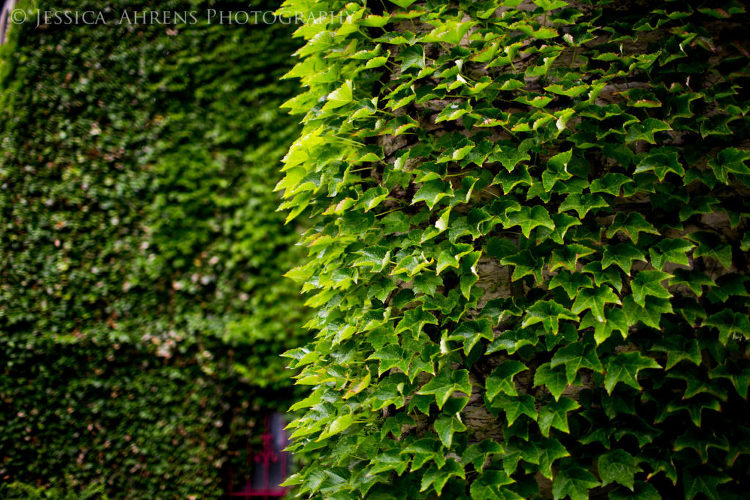 Karpeles Manuscript Library Museum Wedding Photography Buffalo NY-10