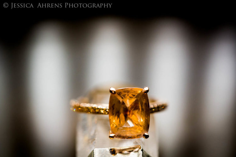 Karpeles Manuscript Library Museum Wedding Photography Buffalo NY-90