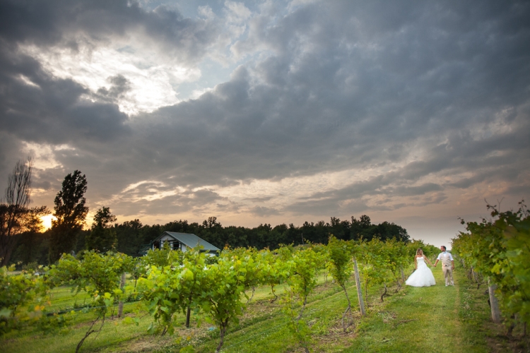 Wedding photographer for Becker Farms and Vizcarra Vineyards.