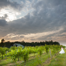 Wedding photographer for Becker Farms and Vizcarra Vineyards.